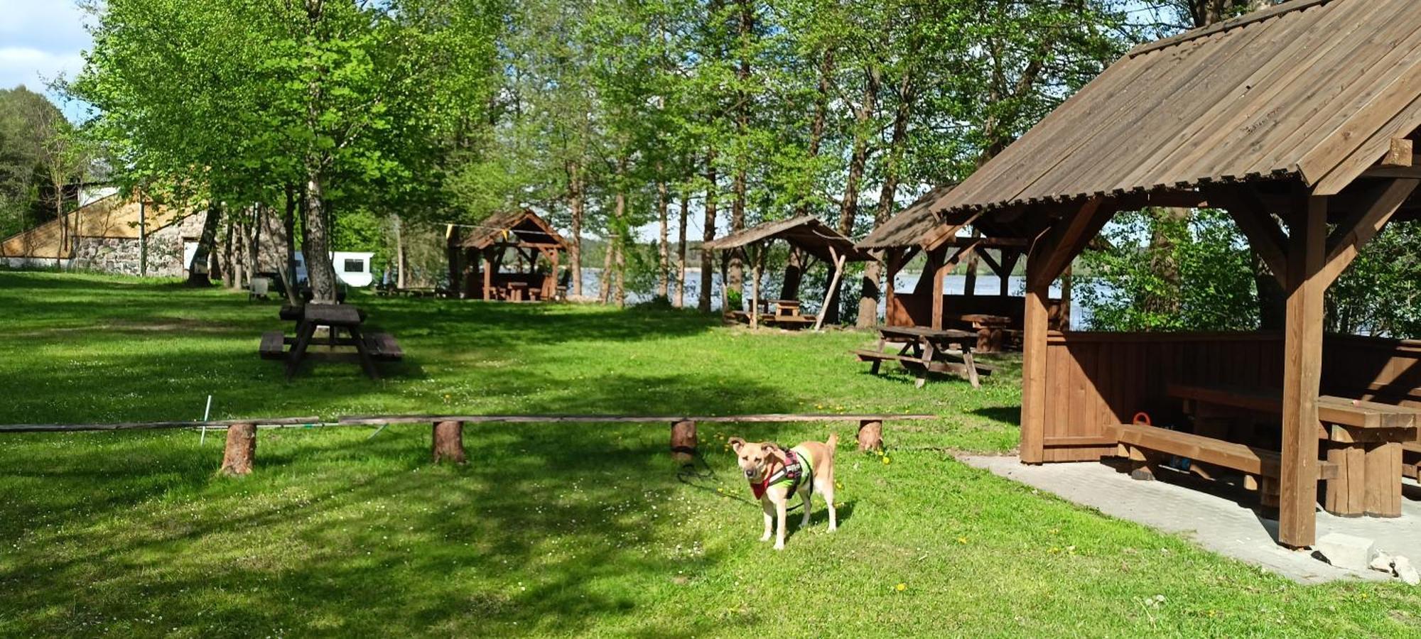 Camping Stanica Wodna Pttk *