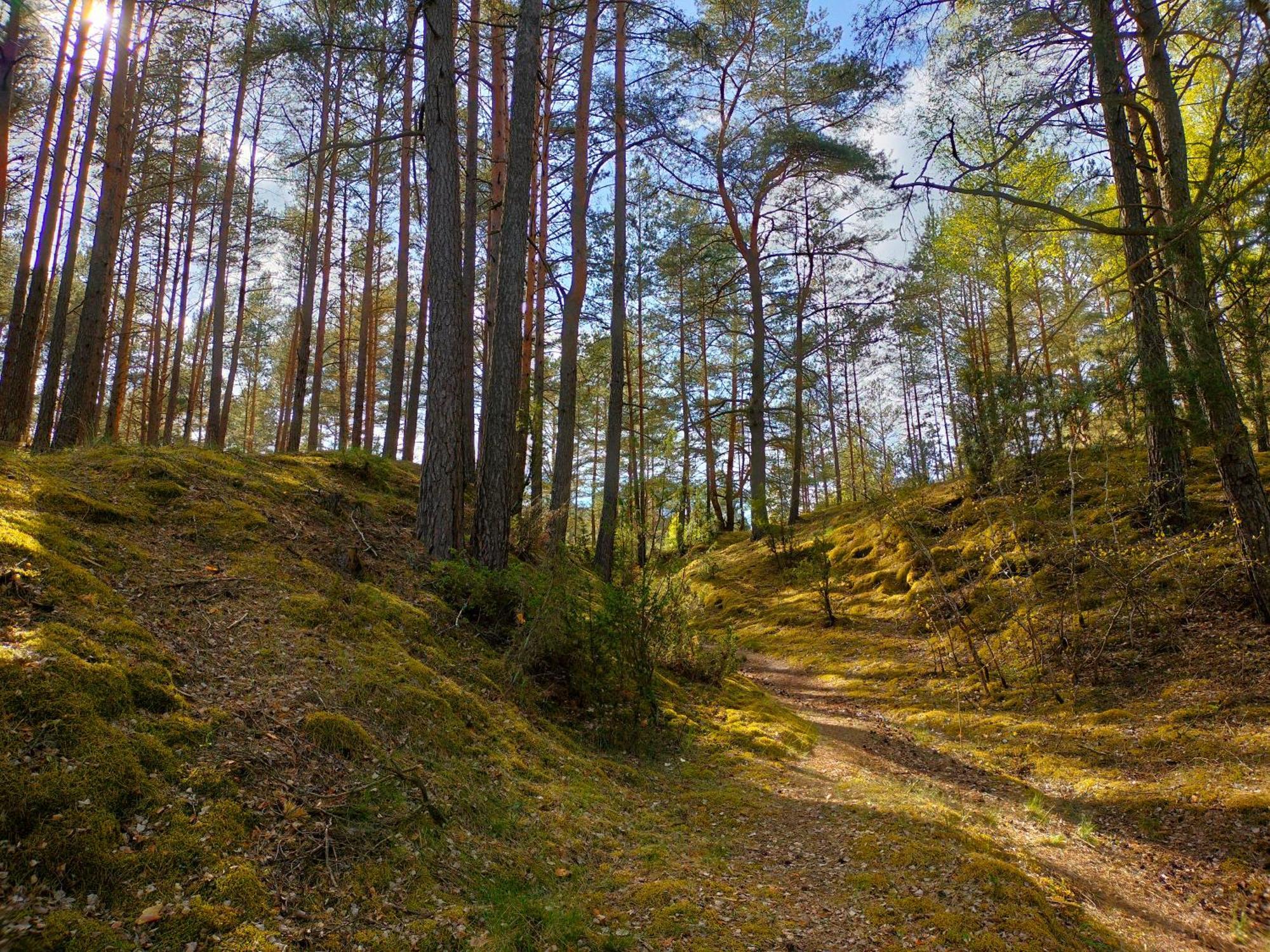 Stanica Wodna Pttk Camping Swornegacie